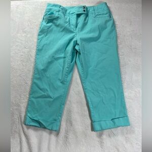 STYLE&CO. Womens Blue Capri Jeans Size 16